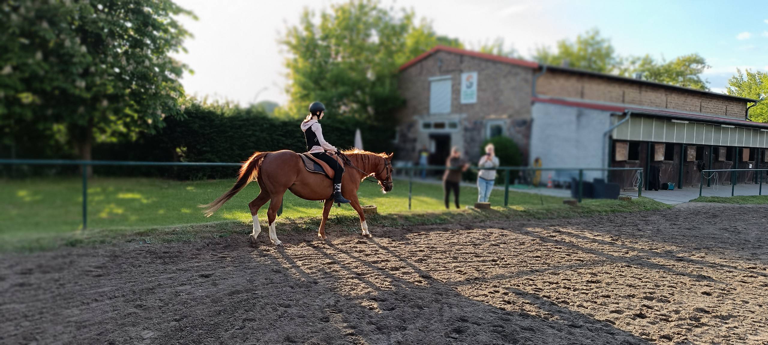 Reitunterricht